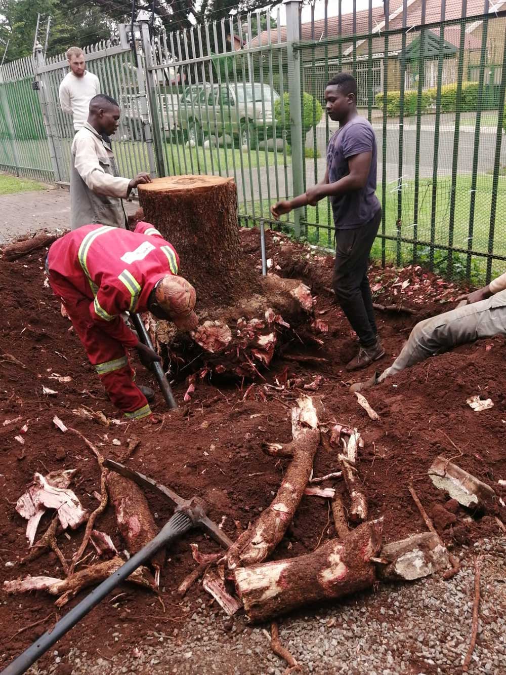 Pretoria-East-Tree-Felling-03