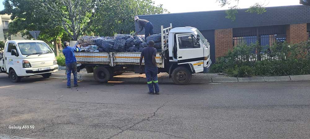 Pretoria-East-Tree-Felling-11
