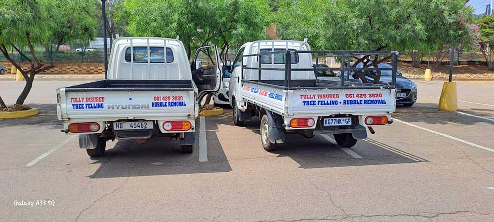 Pretoria-East-Tree-Felling-13