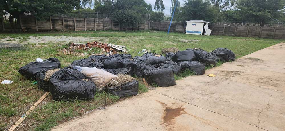 Pretoria-East-Tree-Felling-27