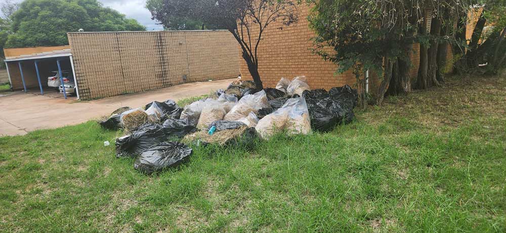 Pretoria-East-Tree-Felling-28