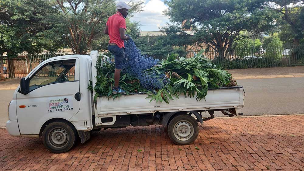 Pretoria-East-Tree-Felling-30