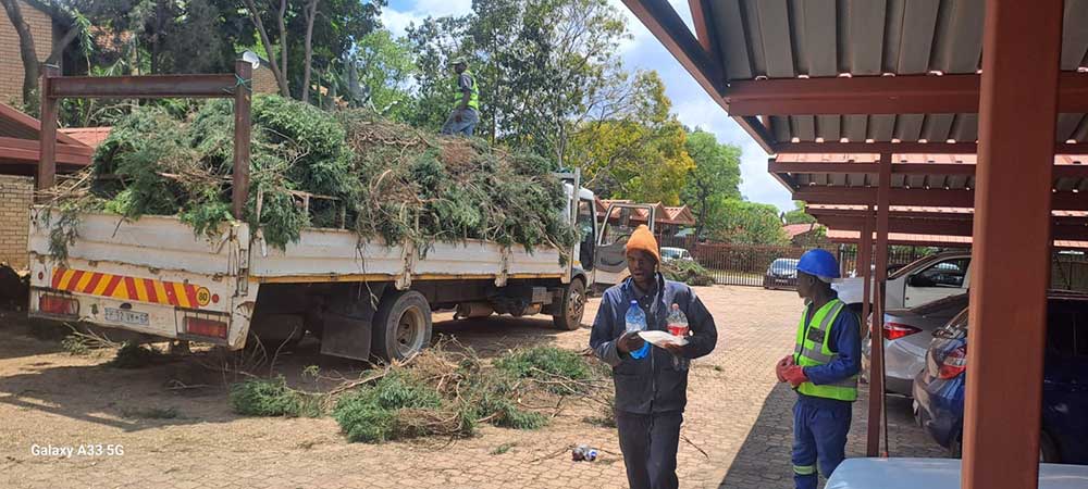 Pretoria-East-Tree-Felling-31