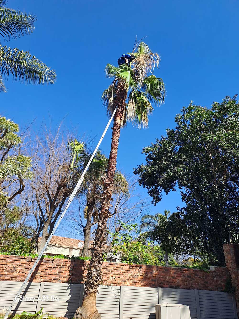 Pretoria-East-Tree-Felling-34 (1)