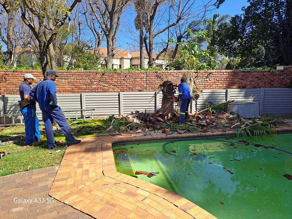 Pretoria-East-Tree-Felling-38