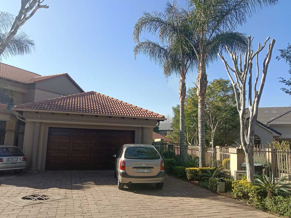 Pretoria-East-Tree-Felling-40