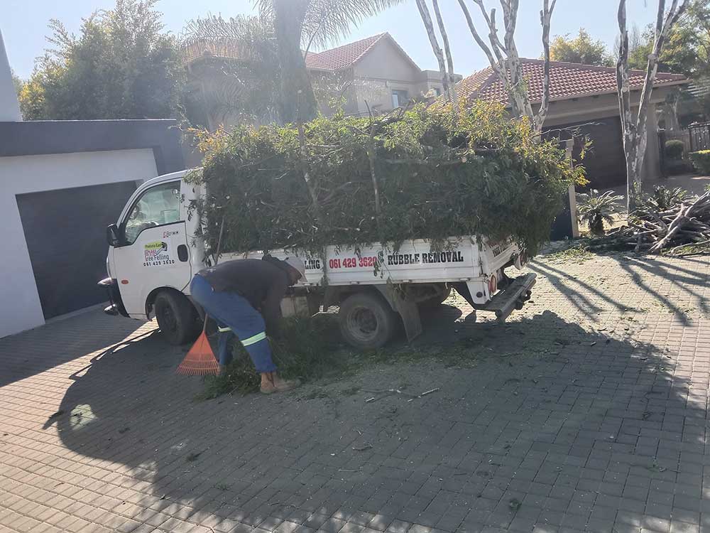 Pretoria-East-Tree-Felling-45