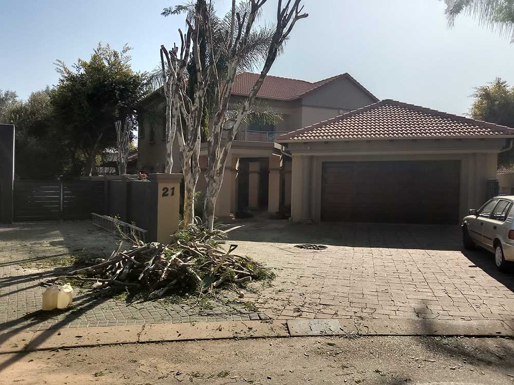 Pretoria-East-Tree-Felling-49