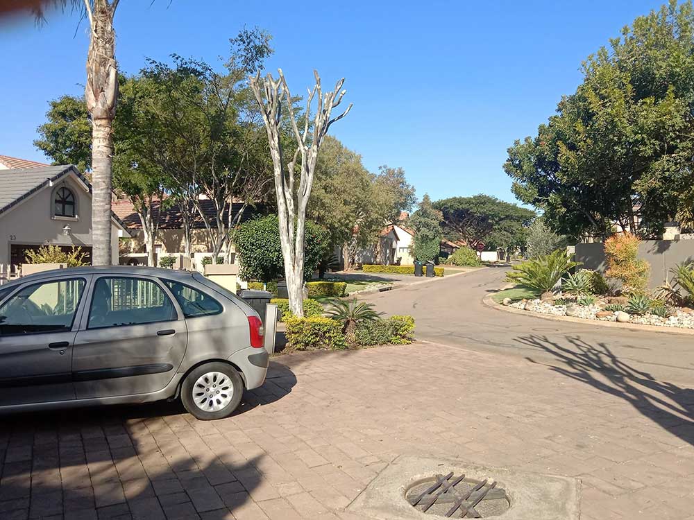 Pretoria-East-Tree-Felling-50