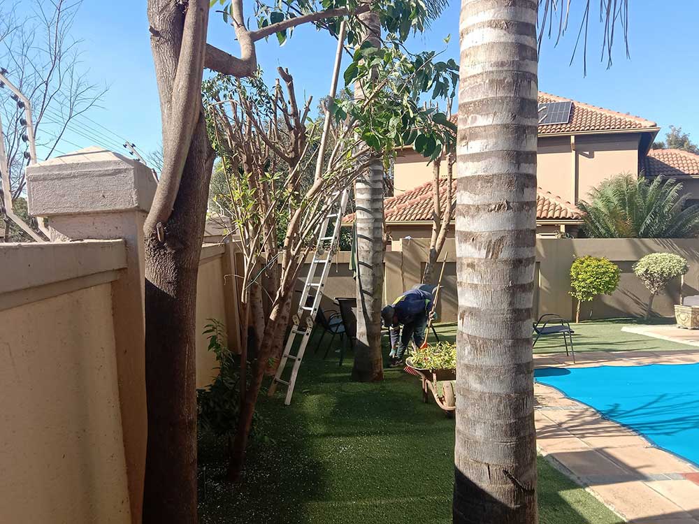 Pretoria-East-Tree-Felling-51