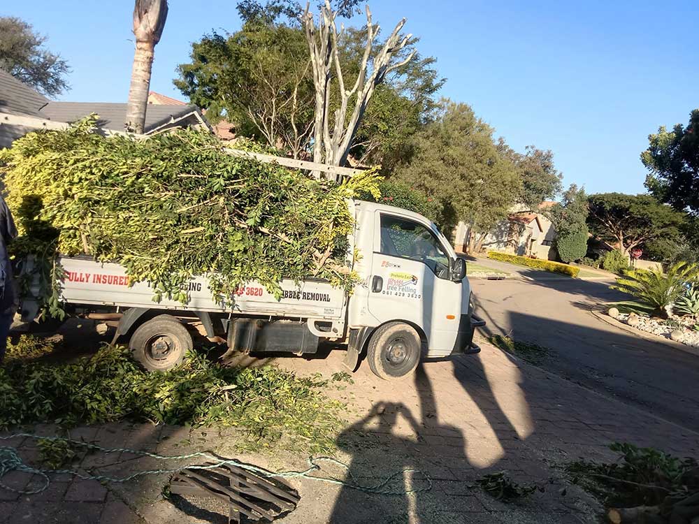 Pretoria-East-Tree-Felling-54