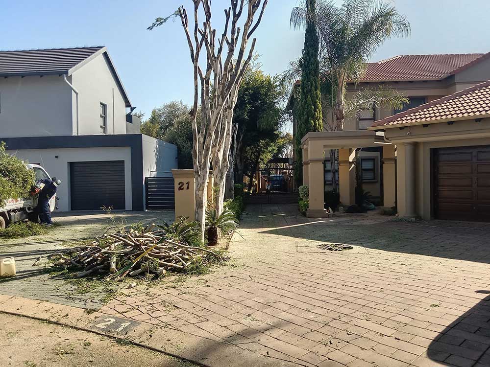 Pretoria-East-Tree-Felling-61