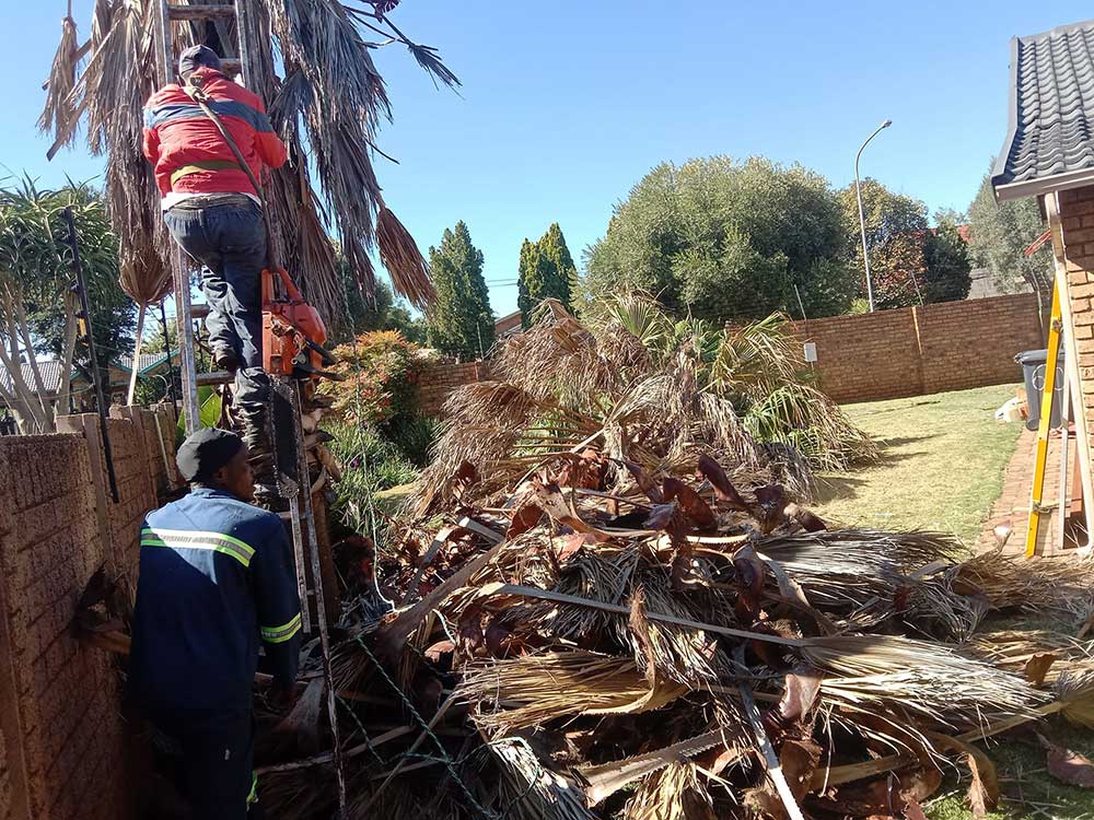 Pretoria-East-Tree-Felling-63