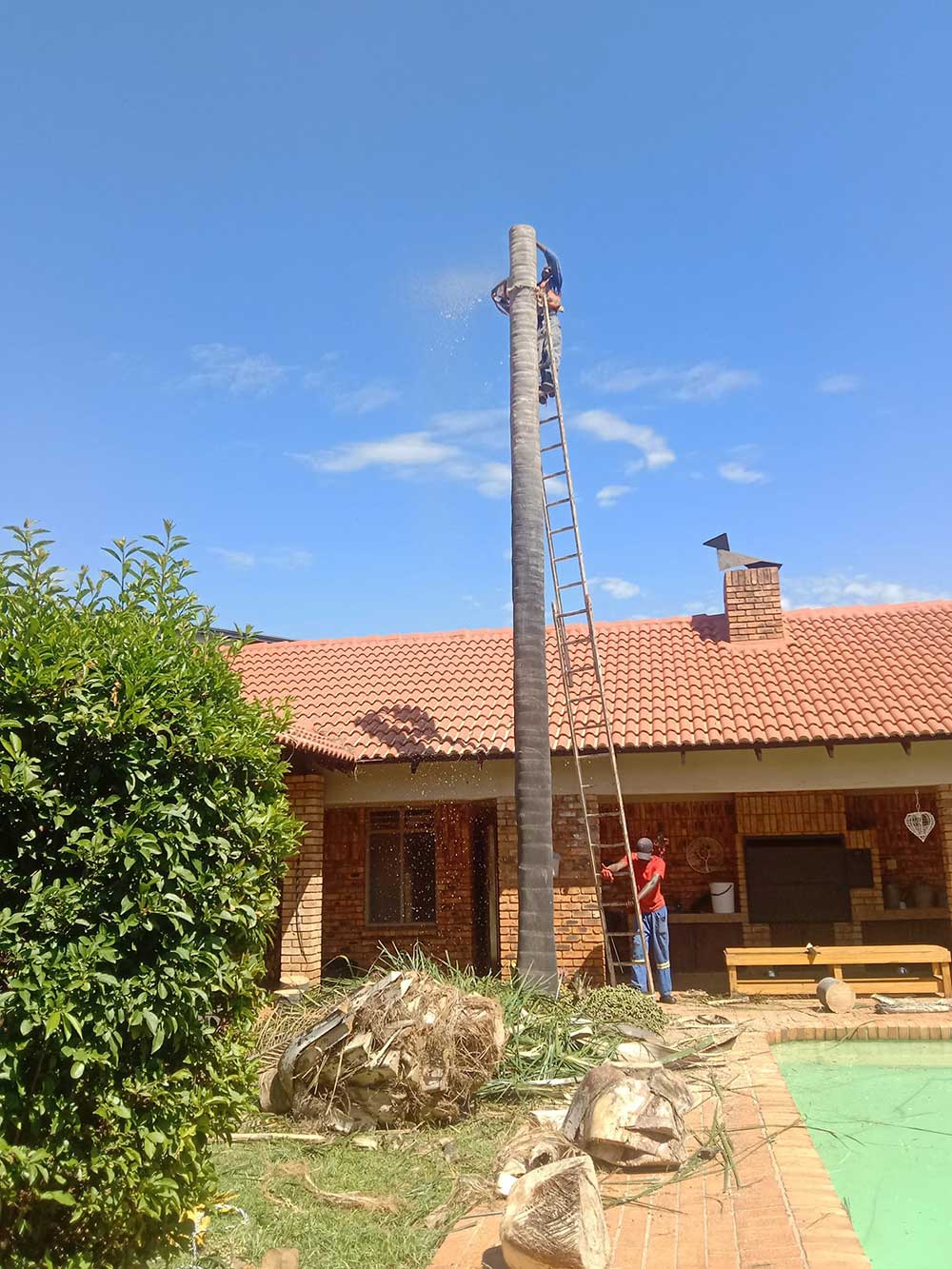 Pretoria-East-Tree-Felling-67