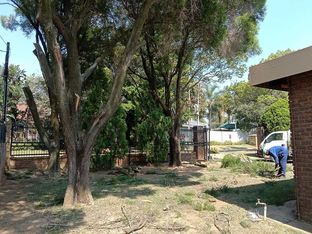 Pretoria-East-Tree-Felling-70