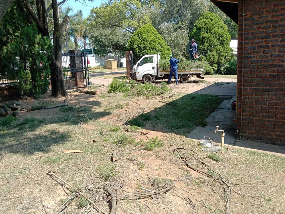 Pretoria-East-Tree-Felling-71