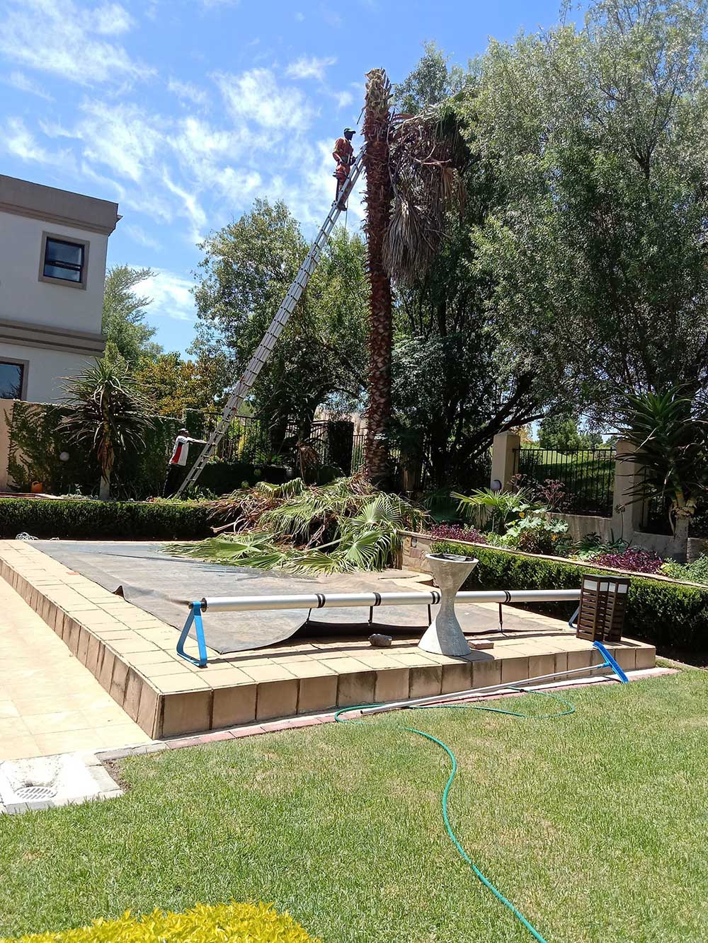 Pretoria-East-Tree-Felling-75