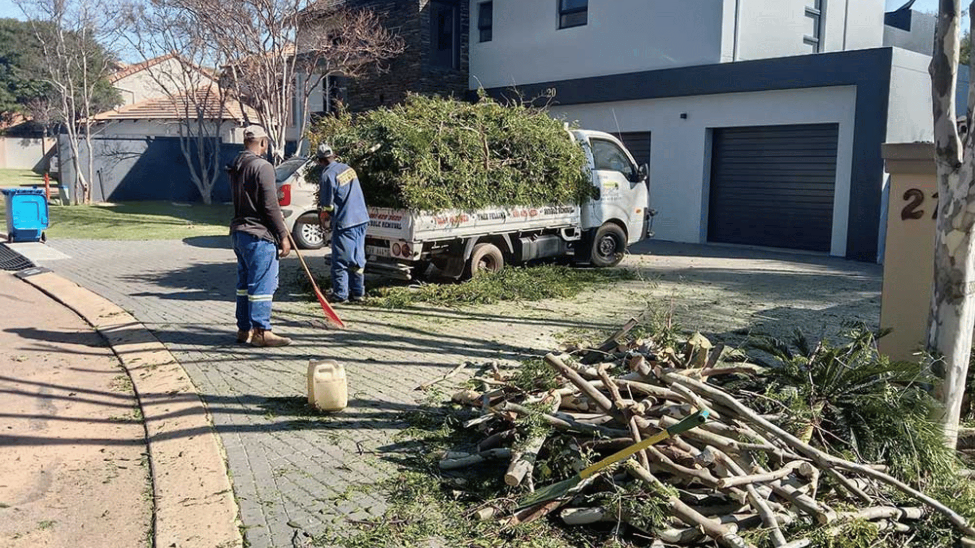 Tree Felling Faerie Glen | Pretoria East