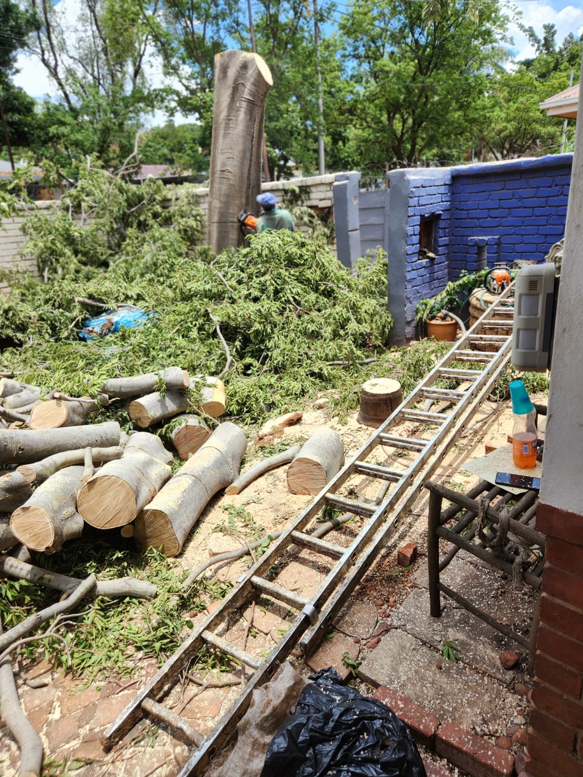 Storm-damaged tree cleared by Pretoria East Tree Felling